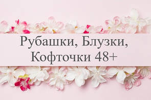 Сорочки, Блузки, Кофточки 48+