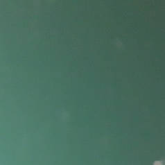 Гладкий лист 0,45 мм RAL 6005  Алюцинк із полімерним покриттям