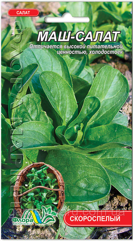 Насіння Маша- салат 0,5 г. Флора маркет