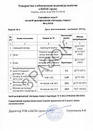 Актацид стерил 1 л (Дезинфекция+ПСО+Стерилизация), фото 3