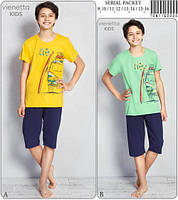 Комплект летний для мальчика (футболка короткий рукав+бриджи) , Vienetta (размер 15(164))