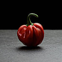 Перец Хабанеро (Habanero Red) свежий