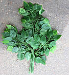 Штучна Гілка фікуса. 60 см ( 12 шт в уп), фото 3