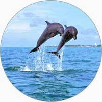 Магніти на холодильник морська тематика