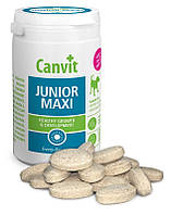 Canvit Junior maxi (Канвіт Джуніор максі) кормова добавка для цуценят і молодих собак від 25 кілограмів. 230 г.