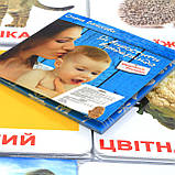 Розвиваюча гра Картки Домана Моя перша валіза «Вундеркінд з пелюшок» - 5 наборів (125316), фото 4