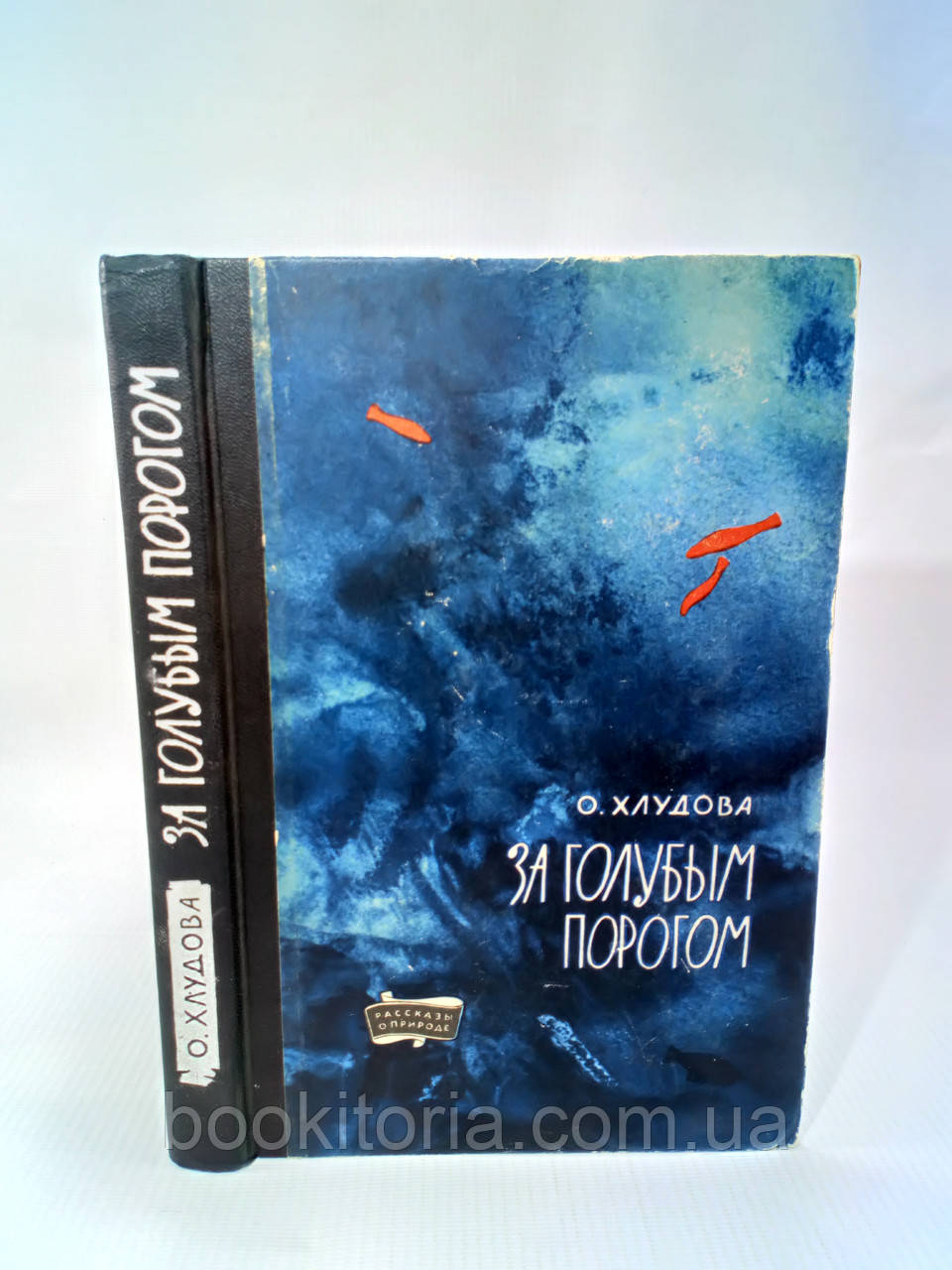 Хлудова О. За блакитним порогом (б/у).
