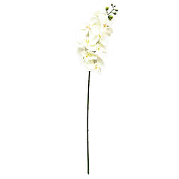 Штучна орхідея, 77 см, білий (130139)