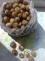 Walnuts