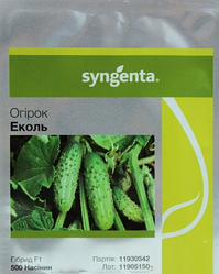Насіння огірка Еколь F1 500 насіння, Syngenta