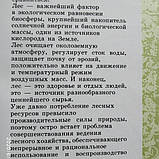 Лісова енциклопедія в двох томах, фото 4