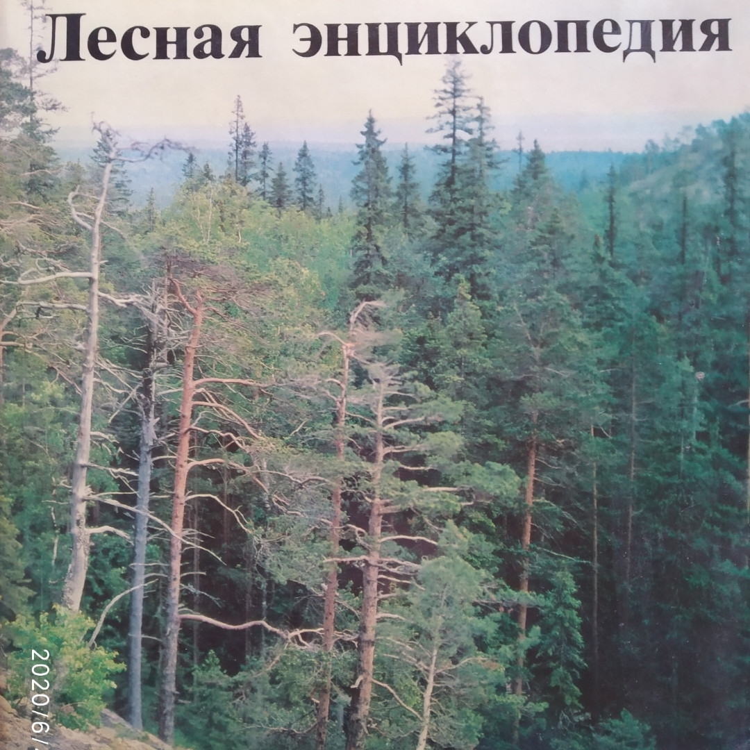 Лісова енциклопедія в двох томах