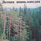Лісова енциклопедія в двох томах