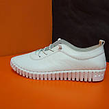 Жіночі кеди спортивні туфлі білі, фото 2