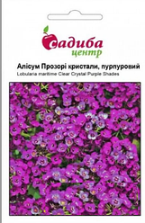 Насіння Алісум Прозоре кристали, пурпуровий 100 шт., Pan American