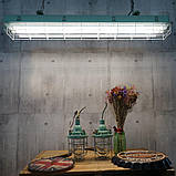 Лампа EVROLIGHT L-1500 2200лм 6400к 24вт G13 T8 трубчаста світлодіодна LED, фото 4