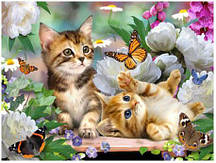 Алмазна мозаїка повна викладка круглими стразами Кошенята з метеликами Diy 20*30 см