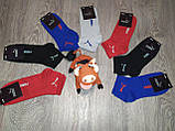 Шкарпетки жіночі та чоловічі бренд Пума Puma розмір 35-39 бавовна, фото 3