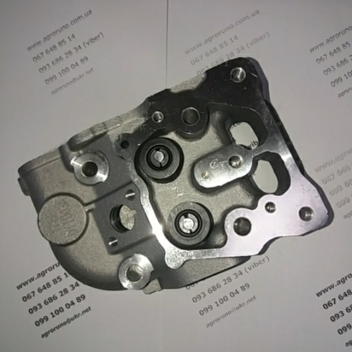 Головка блока в сборе (под 2 болта) - 178F, фото 1