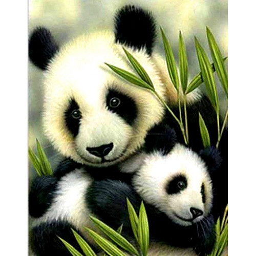 Алмазна мозаїка Сім'я панд My-Art TN502 (30 x 40 см) на підрамнику, фото 1