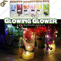 Ночник Цветок в футляре - "Glowing Glover"