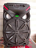 Портативна колонка TMG ORIGINAL UF-1719 з радіомікрофонами 200 W (FM/USB/Bluetooth/12V), фото 3