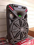 Портативна колонка TMG ORIGINAL UF-1719 з радіомікрофонами 200 W (FM/USB/Bluetooth/12V), фото 5
