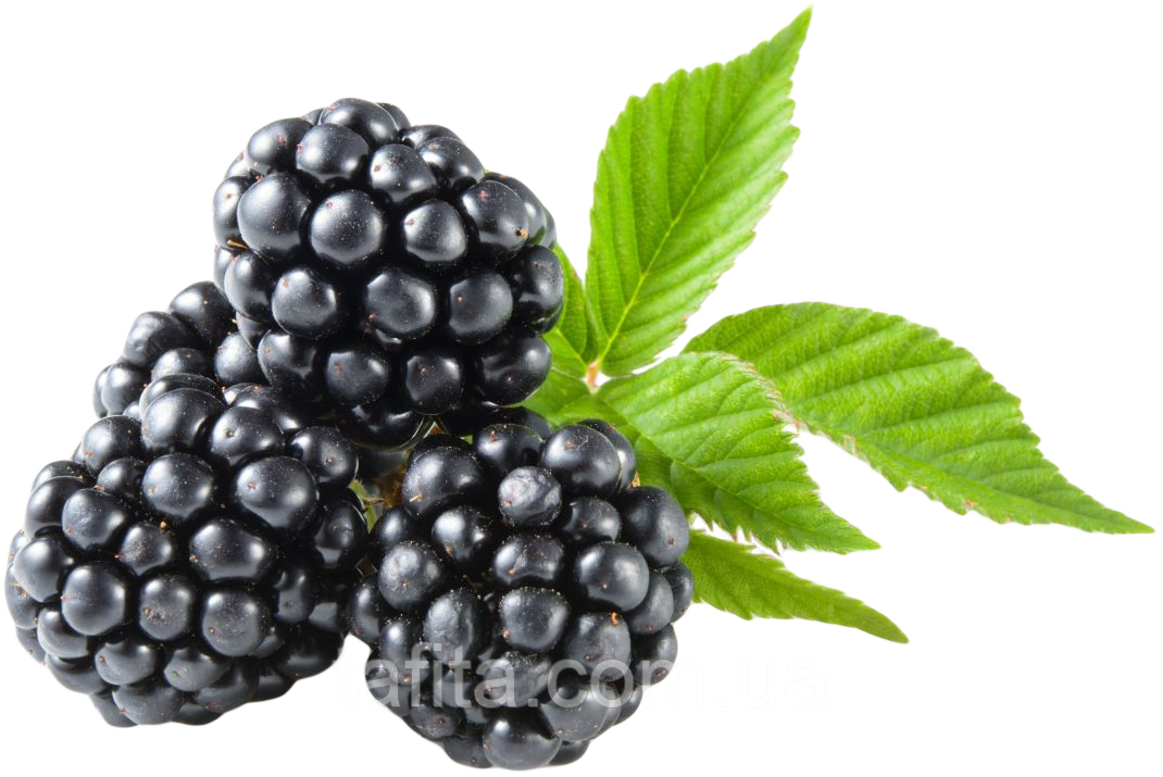 Заморожена Ожина 500 г, фото 1