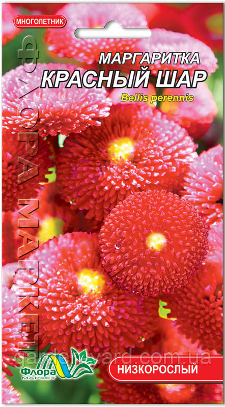 Насіння квітів Маргаритка Червона куля Флора маркет