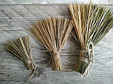 Набір віничків з трав'яної щітки - натуральний декор, 3 шт. - 5,7,11см, 16 грн, фото 2