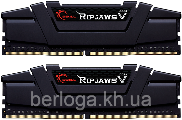 G.Skill 16 GB (2x8GB) DDR4 3200 MHz (F4-3200C16D-16GVKB)