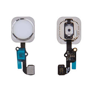 Шлейф кнопки Home для iPhone 6S, iPhone 6S Plus, білий, Original