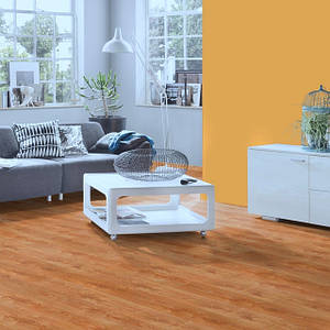 Expert Choice 8мм 32 клас 4V