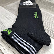 Шкарпетки чоловічі спортивні бавовна з сіткою короткі Adidas Athletic, розмір 41-44, асорті, 12616, фото 3