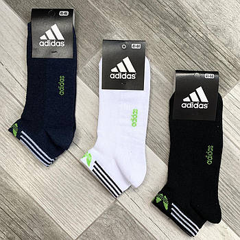 Шкарпетки чоловічі спортивні бавовна з сіткою короткі Adidas Athletic, розмір 41-44, асорті, 12616