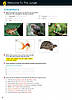 Підручник Close-Up (2nd Edition) A1+ student's Book with Online student's Zone / National Geographic Learning, фото 3