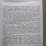Українці:народні вірування,повір'я,демонологія, фото 5