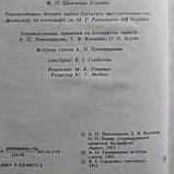 Українці:народні вірування,повір'я,демонологія, фото 4