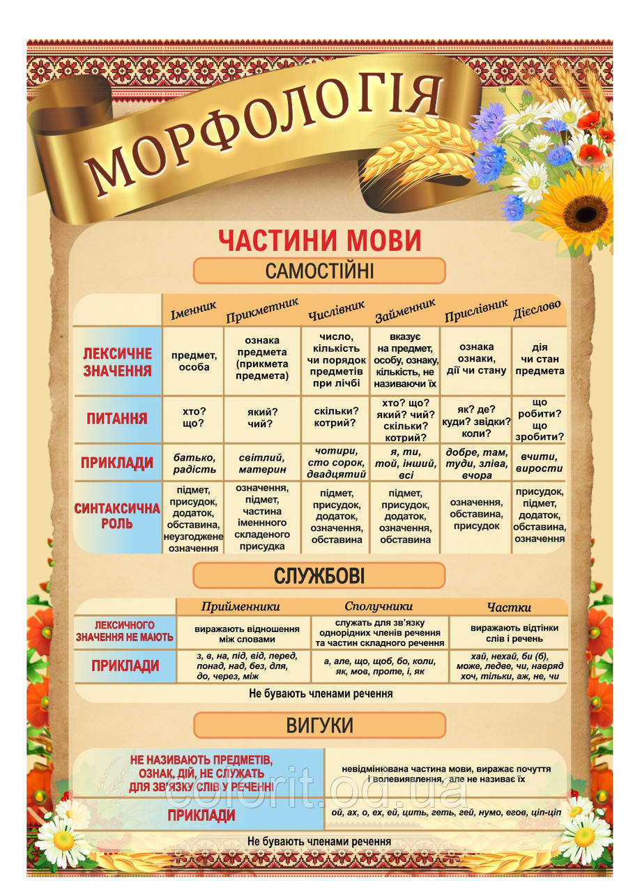 Стенд "Морфологія"