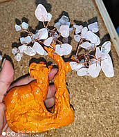 Дерево з рожевим кварцем і овном