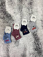 Дитячі шкарпетки для дівчинки Pier Lone демісезонні Арт Р-46