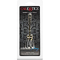 Затискач для статевих губ Cleopatra Clit Crystal Clear aiw Якість AIW Or407, фото 2