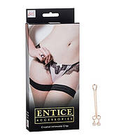 Затискач для статевих губ Entice Crystal Intimate Clip aiw Якість AIW Or250, фото 3