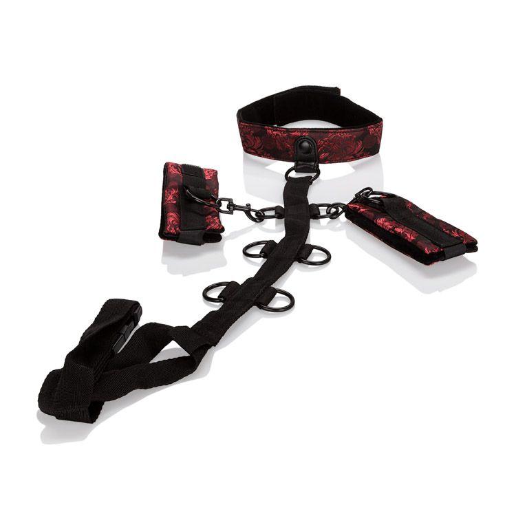 Набір для бондажу Scandal Collar Body Restraint aiw Якість AIW Or1152, фото 1