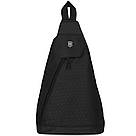 Рюкзак Victorinox Travel ALTMONT Original/Black Vt606748, фото 3