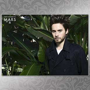 Плакат А3 Рок 30 Seconds To Mars 02