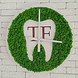 Настінний Годинник зі стабілізованого моху в стоматологію, стоматклініку. Подарунок стоматологу, фото 2