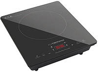 Настільна індукційна плита Esperanza EKH009 2000 Вт