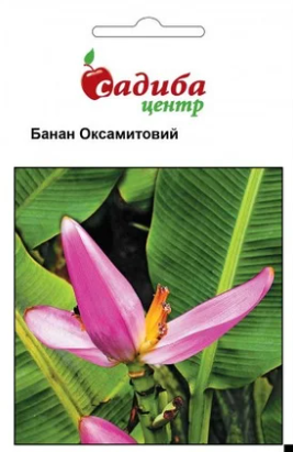 Насіння квітів Банан Оксамитовий 3 шт., Hem Zaden