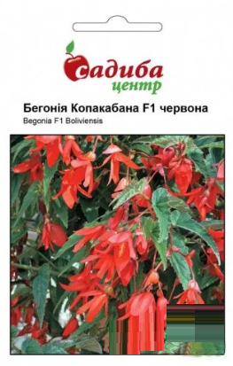 Насіння бегонії Копакабана F1 червона,5 шт.,"Садиба-Центр", Україна, фото 2